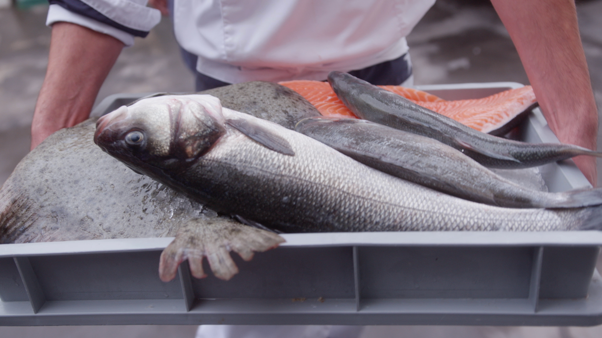 Iberostar_Responsible Seafood Mexico V5_EN (0-00-23-00)
